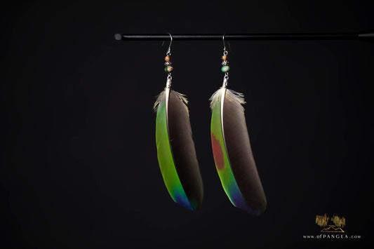 Parrot Bouquet Feather Earrings - Imperial Jasper - Sterling Silver || JF301