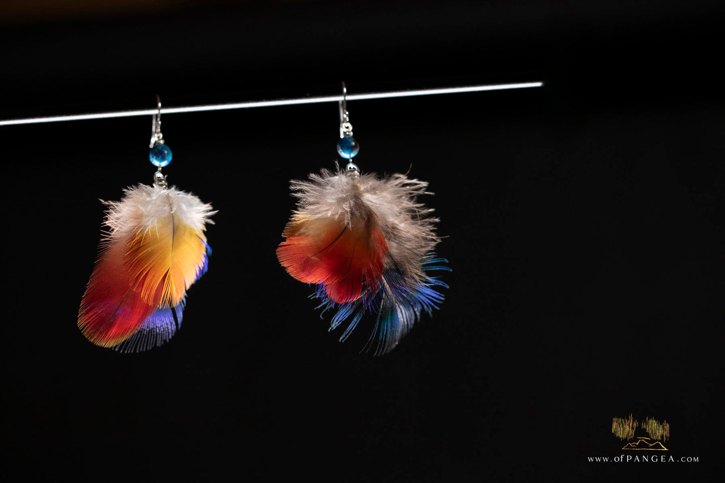 Three feather Parrot and Peacock feather earrings – Jasper - Sterling Silver || JF309