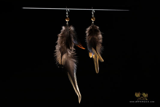 Black and gold feather Earrings - Journal jasper bead - Sterling Silver || JF320