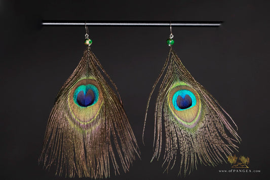 Peacock feather earrings – Imperial Jasper - Sterling Silver || JF321
