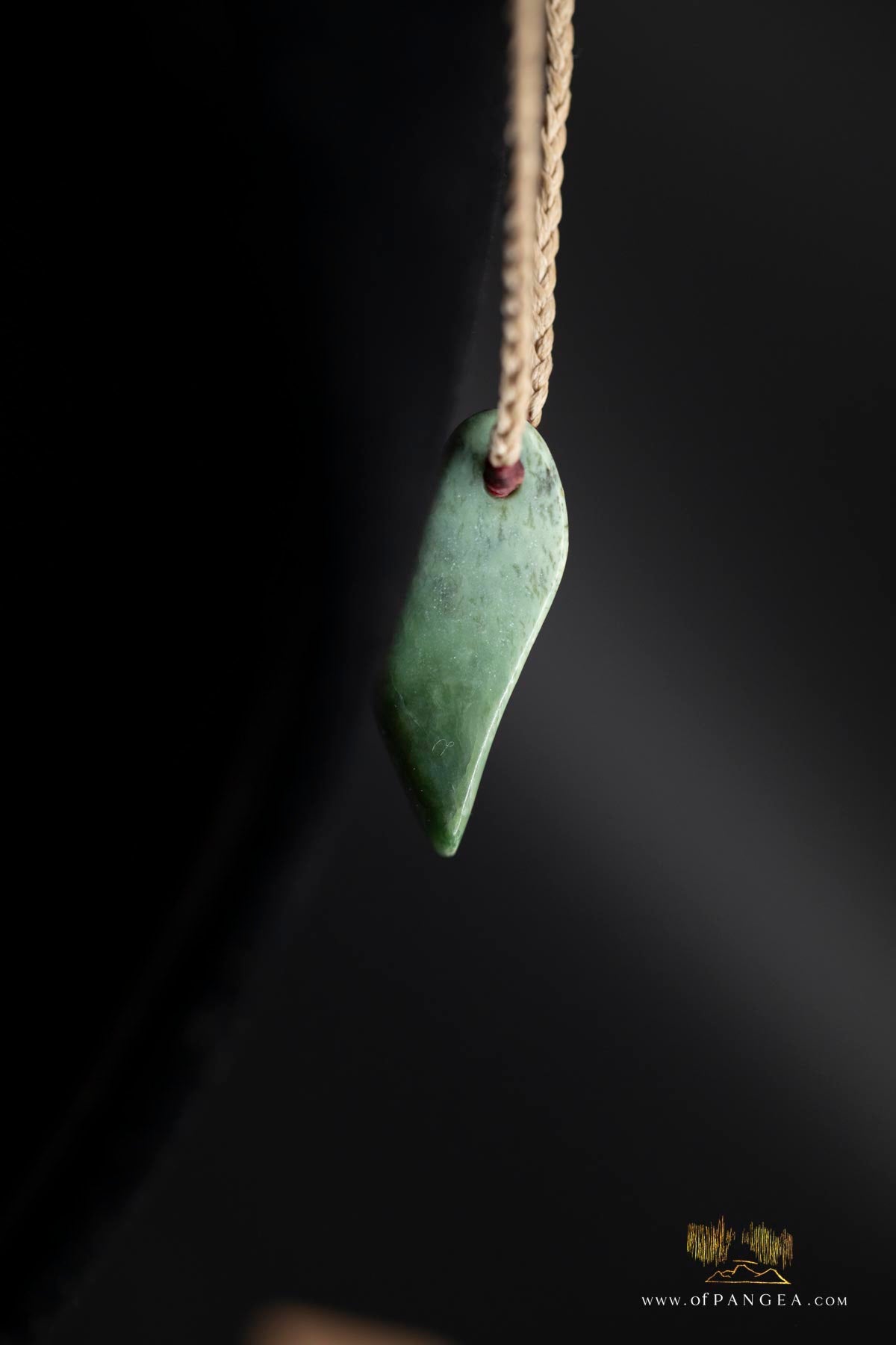 Kokopu Inanga freeform Pounamu Nephrite Jade Necklace || JF441