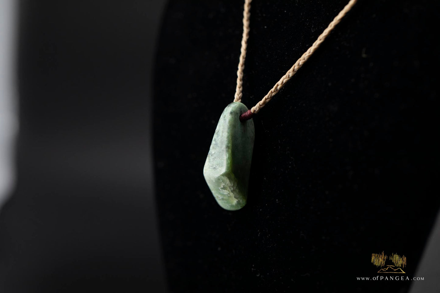 Kokopu Inanga freeform Pounamu Nephrite Jade Necklace || JF441