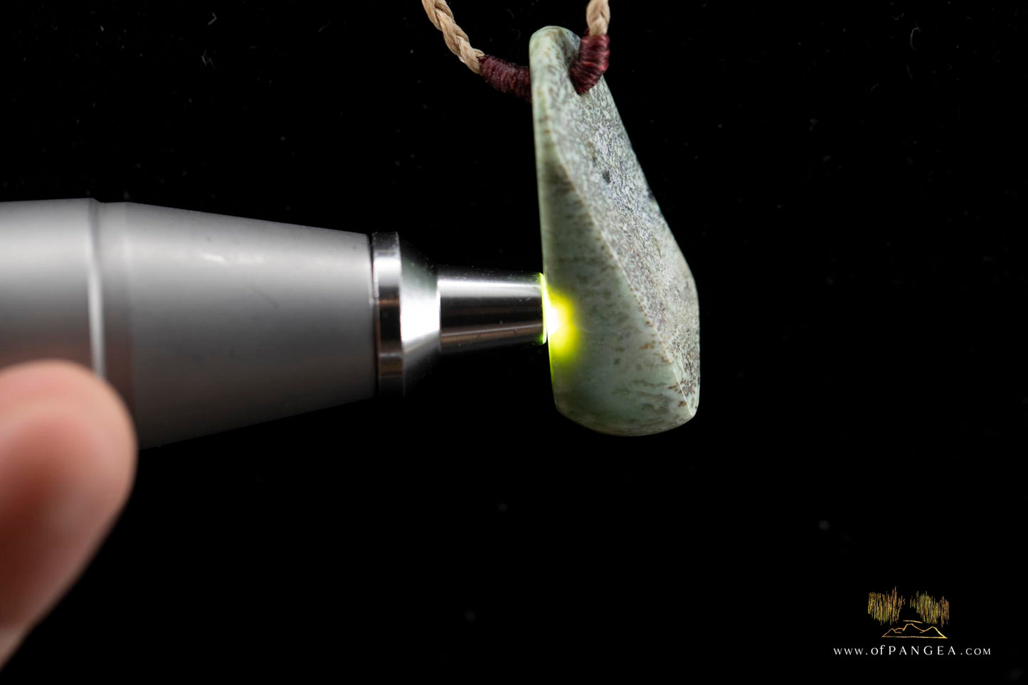 Kokopu Inanga freeform Pounamu Nephrite Jade Necklace || JF441