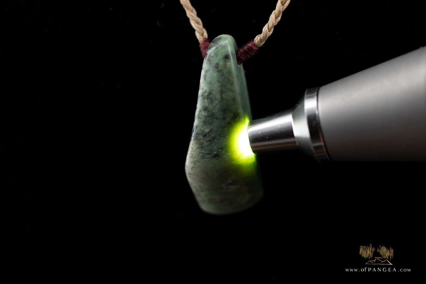 Kokopu Inanga freeform Pounamu Nephrite Jade Necklace || JF441