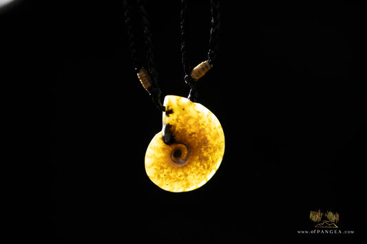 Fossilized Golden Agate Per-mineralized Full Ammonite Necklace - black plaited cord || JF480