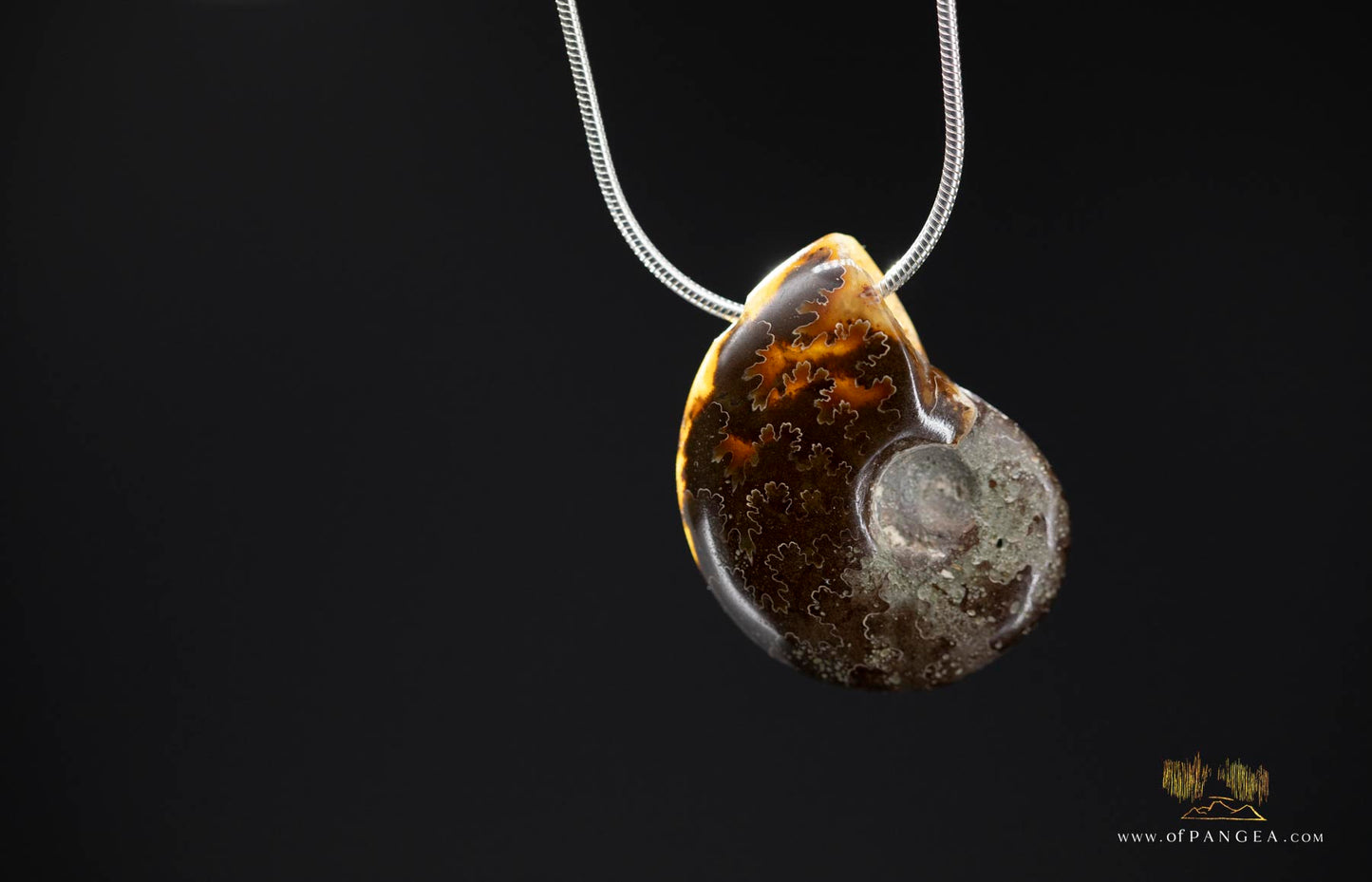 Agate Per-mineralized Full Ammonite Fossil Necklace - 0.925 Italian Sterling Silver Snake Chain 18inch || JF481