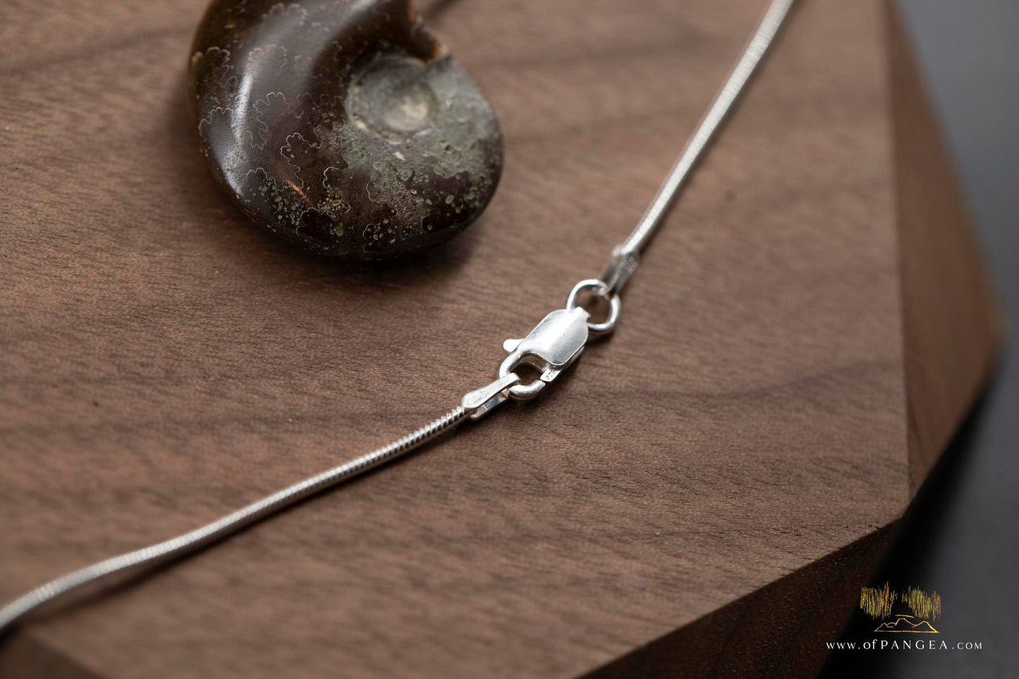 Agate Per-mineralized Full Ammonite Fossil Necklace - 0.925 Italian Sterling Silver Snake Chain 18inch || JF481