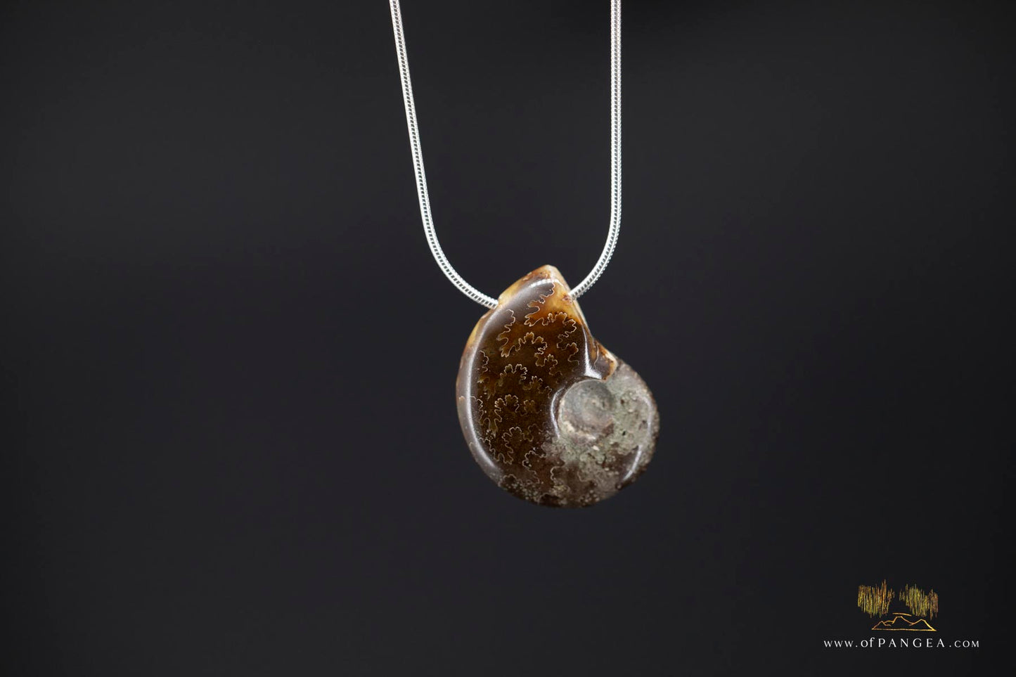 Agate Per-mineralized Full Ammonite Fossil Necklace - 0.925 Italian Sterling Silver Snake Chain 18inch || JF481