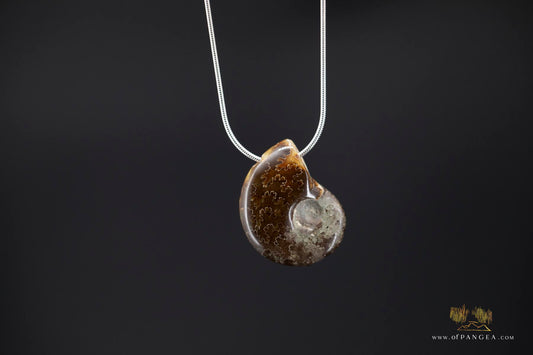 Agate Per-mineralized Full Ammonite Fossil Necklace - 0.925 Italian Sterling Silver Snake Chain 18inch || JF481