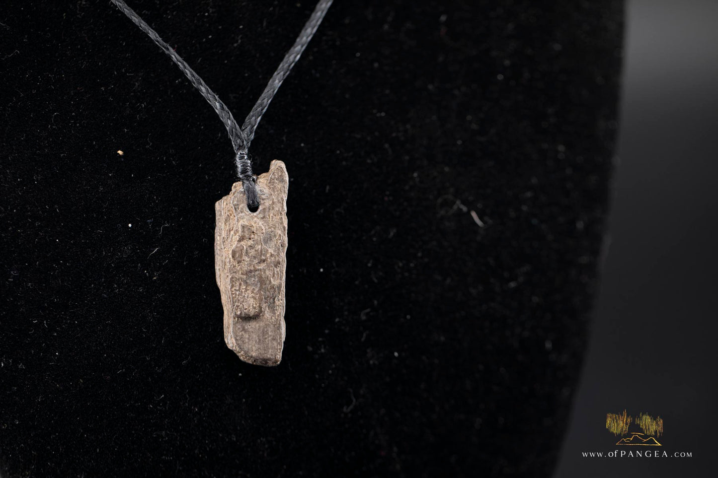 Woolly Mammoth Tusk Pendant - Necklace || JF494