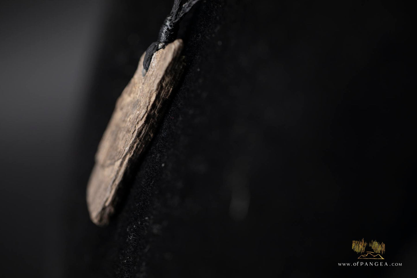 Woolly Mammoth Tusk Pendant - Necklace || JF494