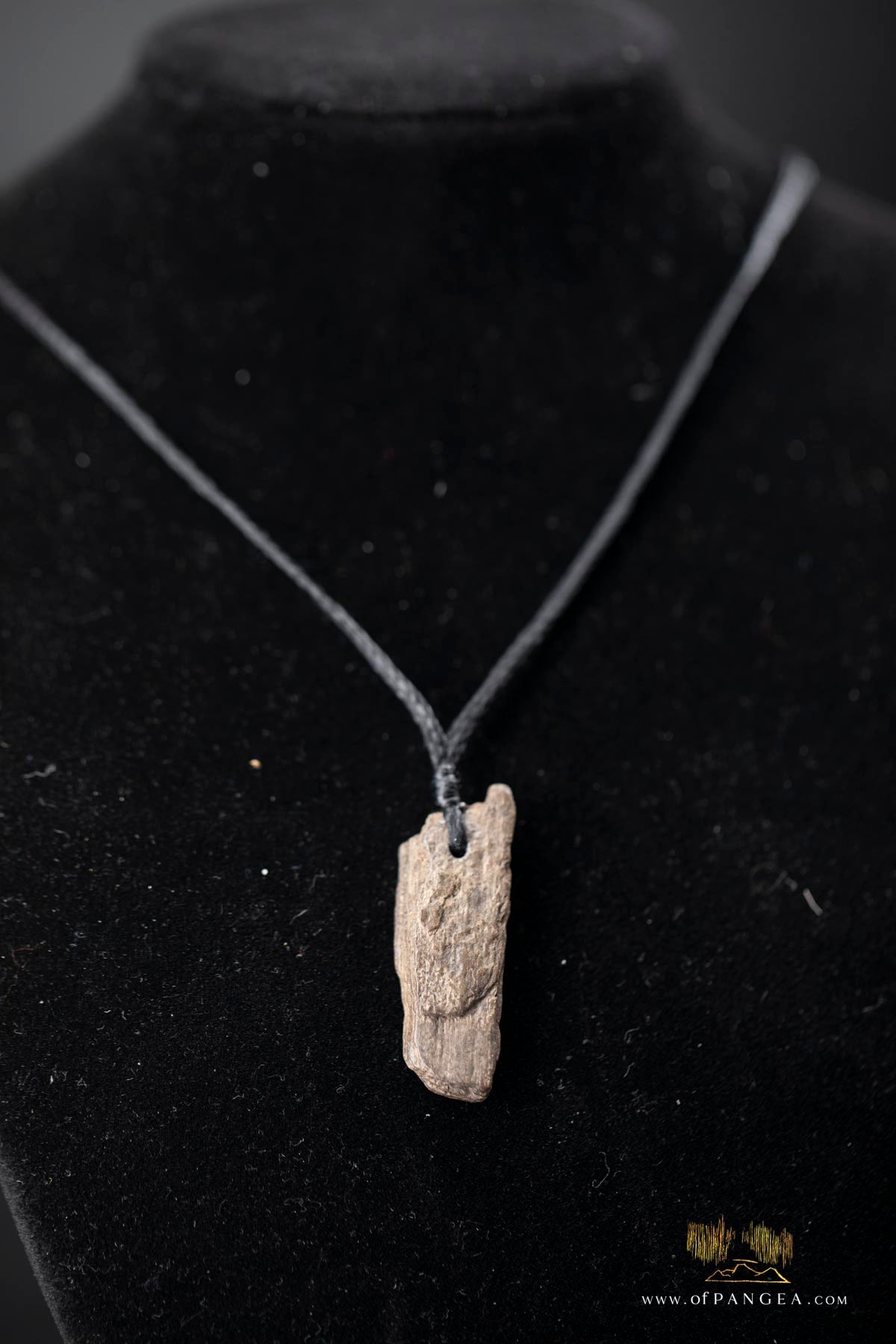 Woolly Mammoth Tusk Pendant - Necklace || JF494