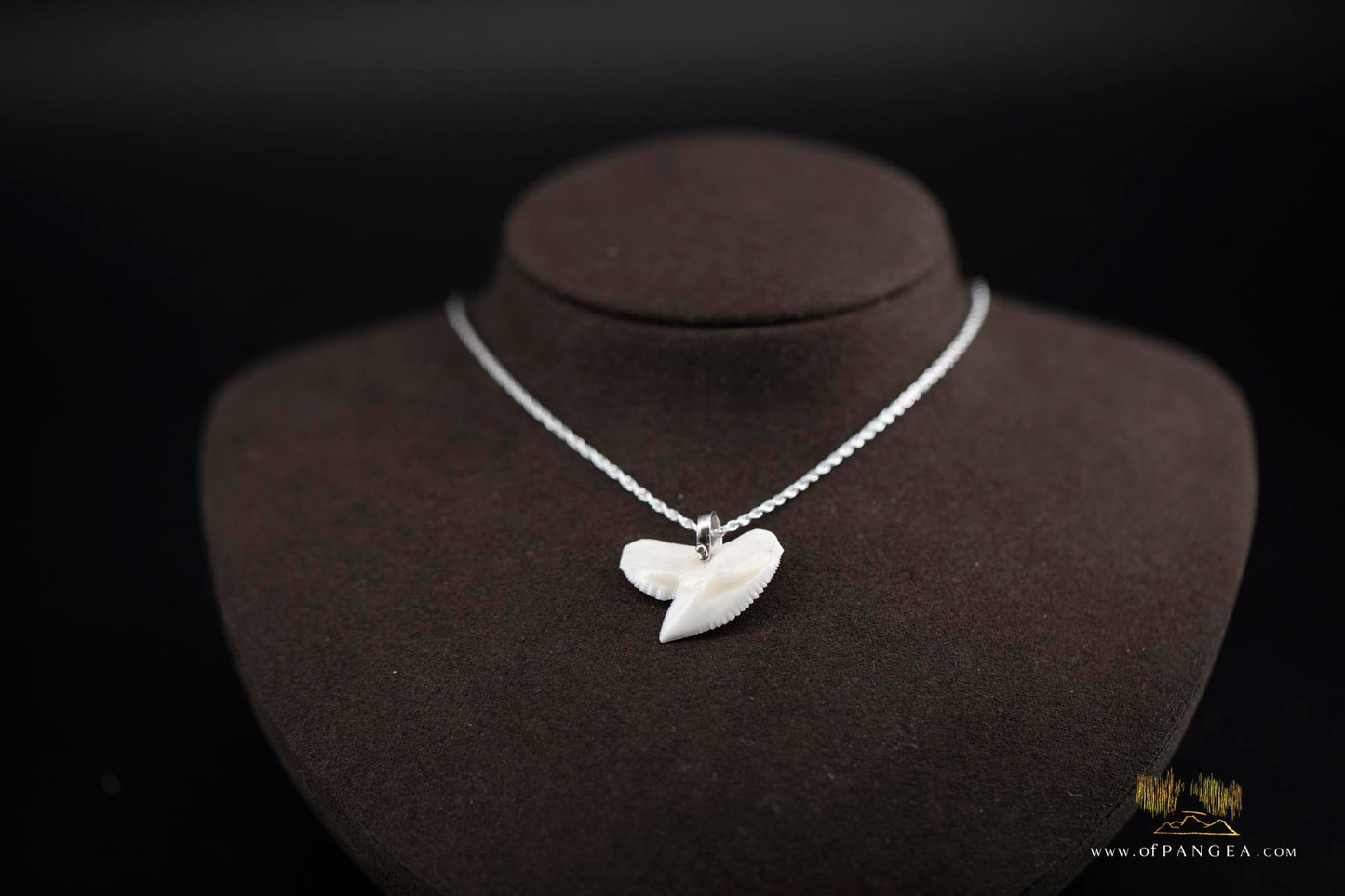 Tiger Shark tooth (Modern) Italian Sterling Silver chain necklace || JF516
