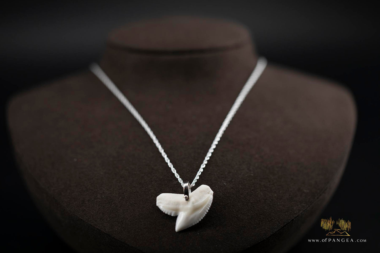 Tiger Shark tooth (Modern) Italian Sterling Silver chain necklace || JF516