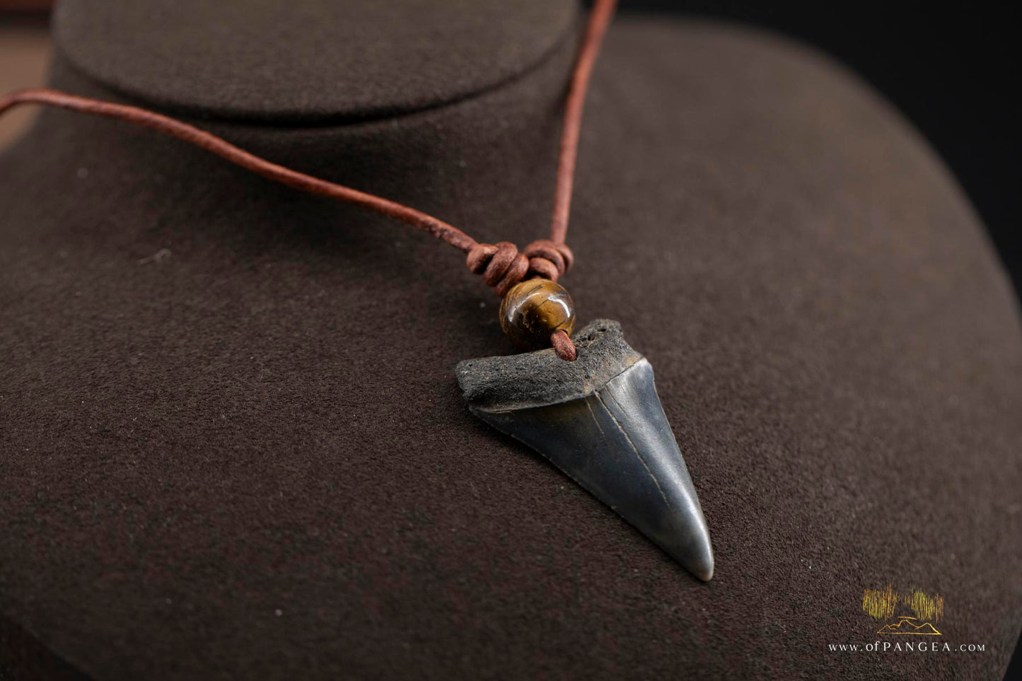 Fossilized Mako Shark Tooth, Tiger's Eye Bead & Italian Leather Cord - Necklace || JF529