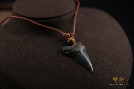 Fossilized Mako Shark Tooth, Tiger's Eye Bead & Italian Leather Cord - Necklace || JF529