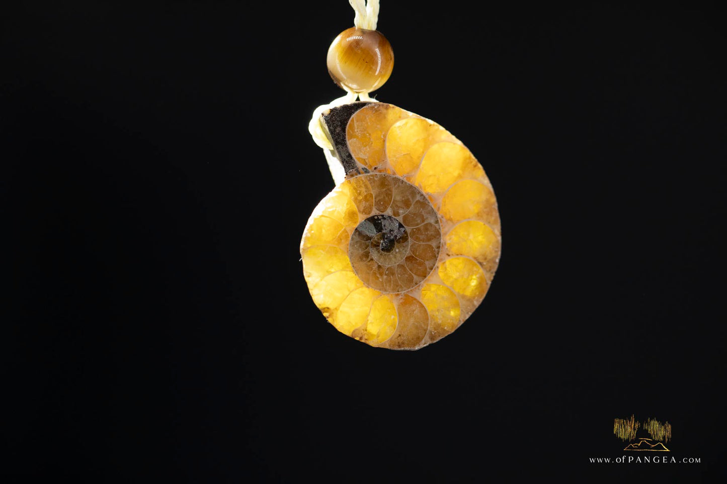 Golden Per-mineralized Ammonite Half Necklace - Tiger's Eye Bead || JF531