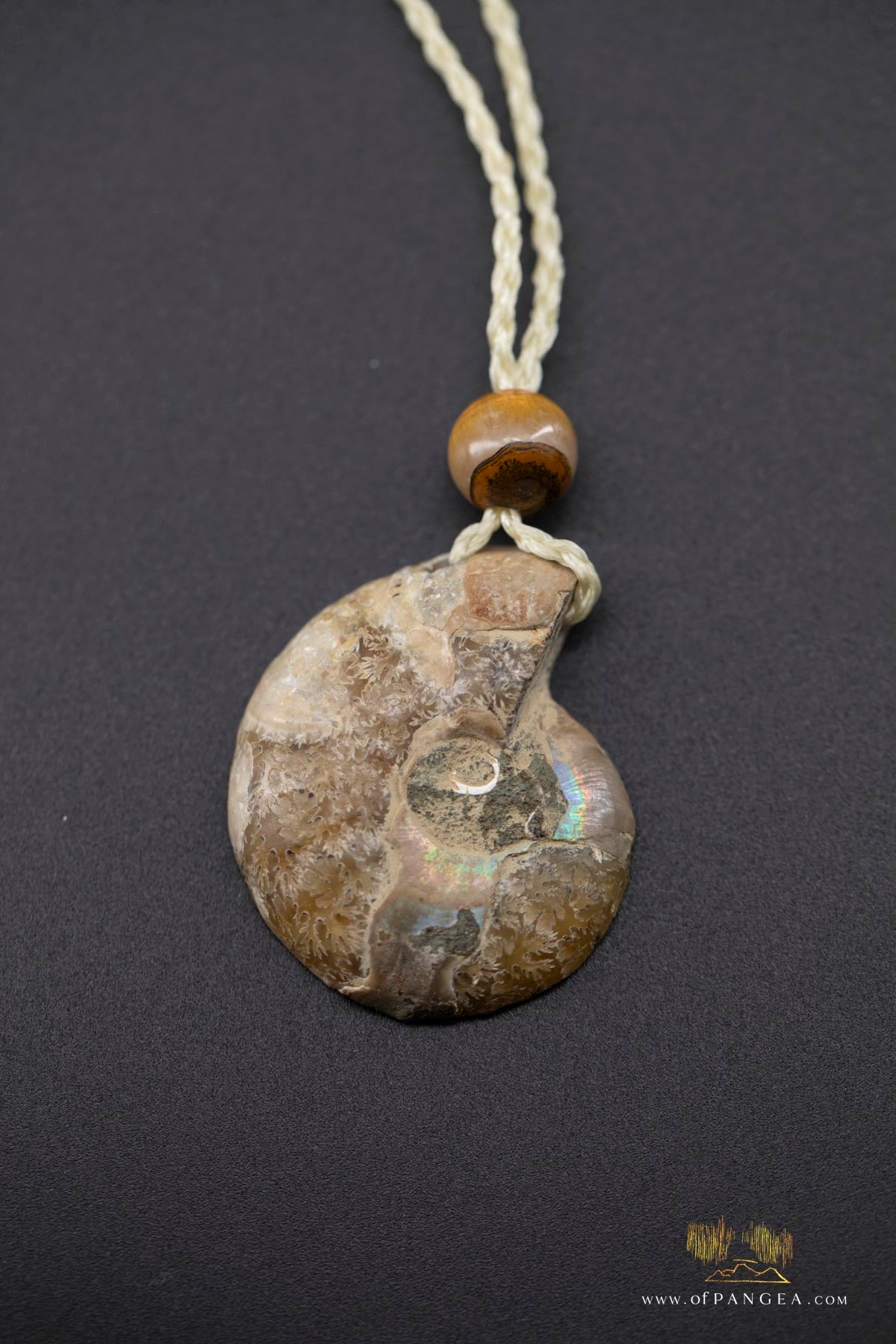 Golden Per-mineralized Ammonite Half Necklace - Tiger's Eye Bead || JF531