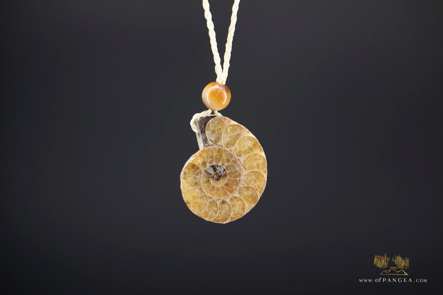 Golden Per-mineralized Ammonite Half Necklace - Tiger's Eye Bead || JF531