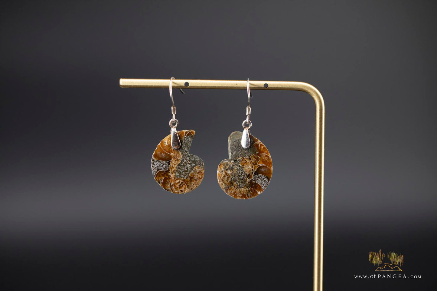 Per-mineralized Ammonite Half Earrings - sterling silver || JF536