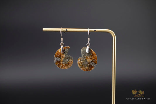Per-mineralized Ammonite Half Earrings - sterling silver || JF536