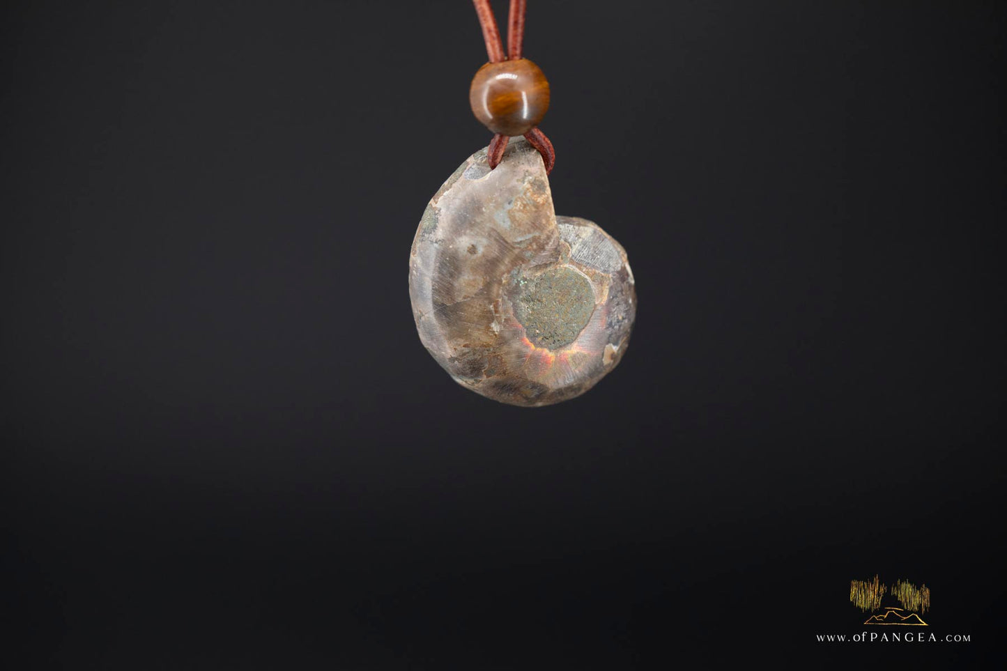 Per-mineralized Ammonite Fossil Cross-section Necklace - Tiger's Eye Bead || JF553