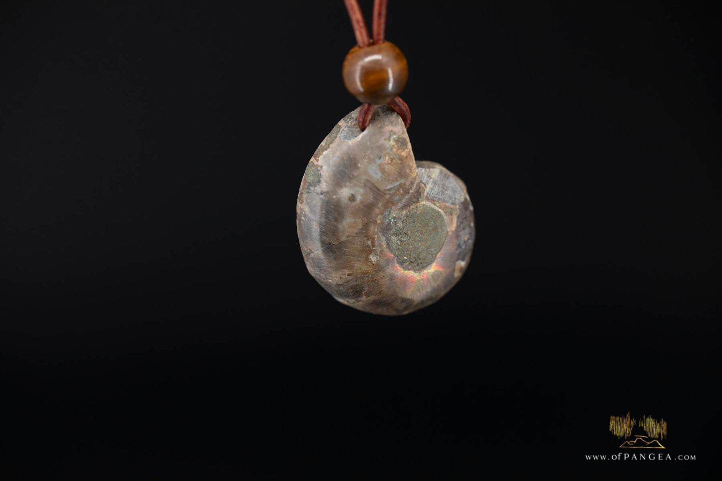 Per-mineralized Ammonite Fossil Cross-section Necklace - Tiger's Eye Bead || JF553