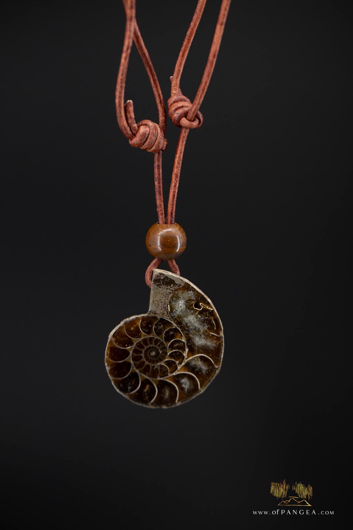 Per-mineralized Ammonite Fossil Cross-section Necklace - Tiger's Eye Bead || JF553