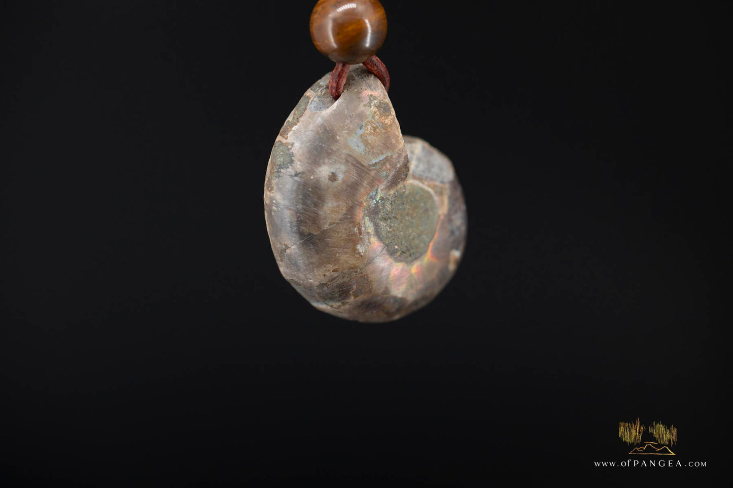 Per-mineralized Ammonite Fossil Cross-section Necklace - Tiger's Eye Bead || JF553