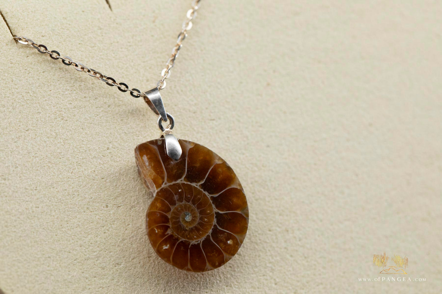 Per-mineralized Ammonite Half necklace - 14-24inch adjustable length sterling silver chain