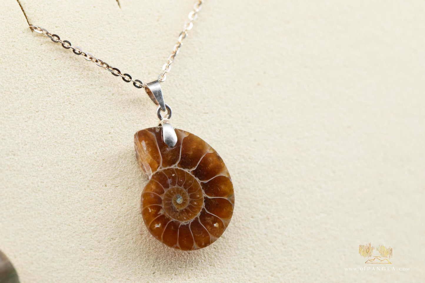 Per-mineralized Ammonite Half necklace - 14-24inch adjustable length sterling silver chain