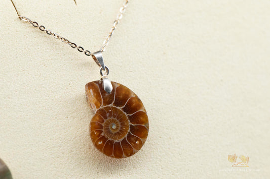 Per-mineralized Ammonite Half necklace - 14-24inch adjustable length sterling silver chain