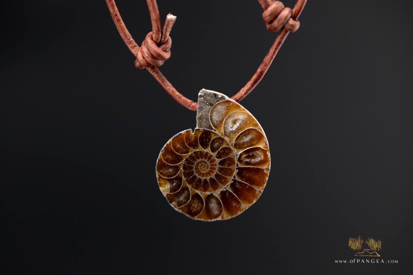 Per-mineralized Ammonite Cross-section Necklace - Italian leather cord || JF573