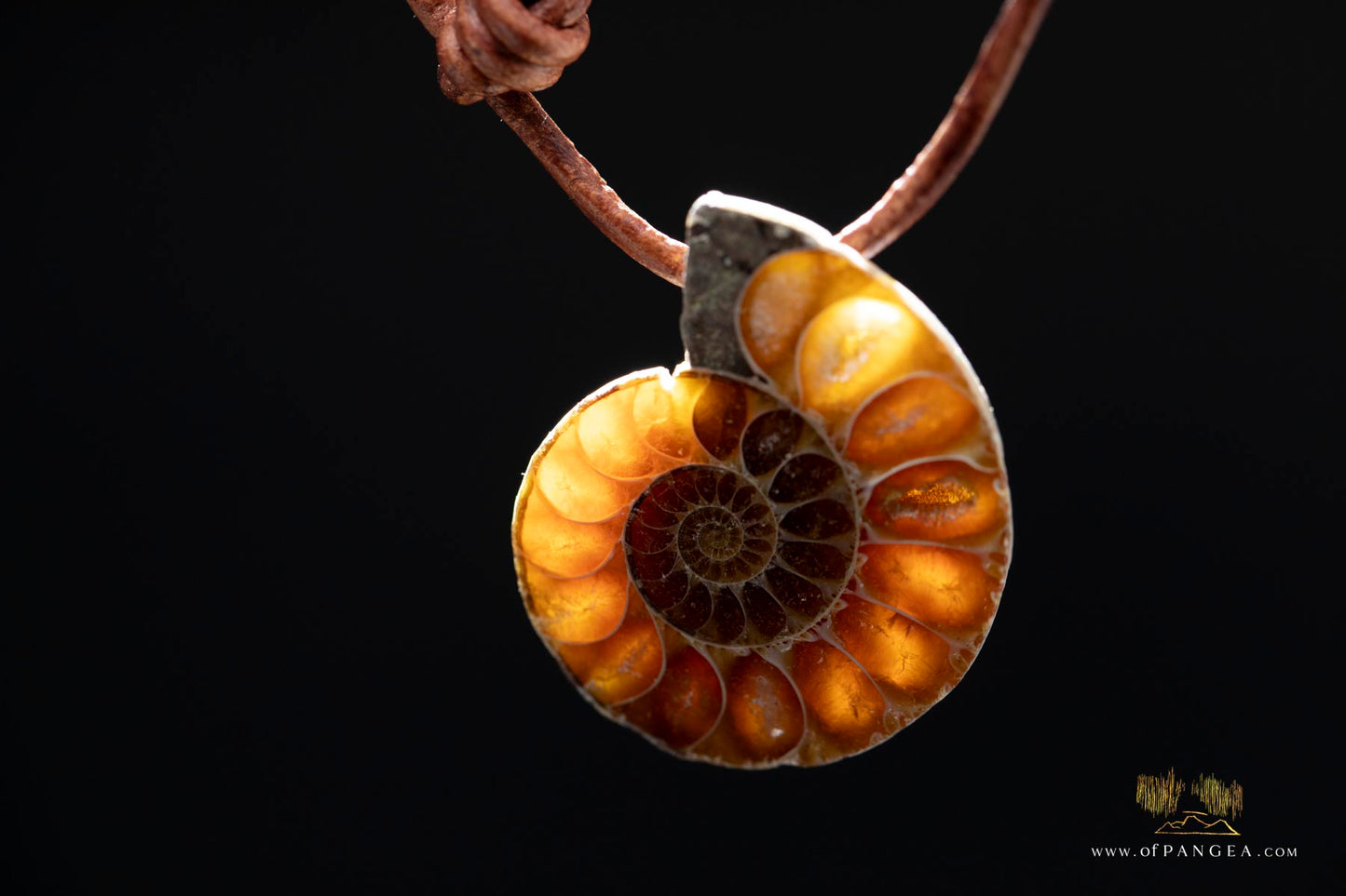 Per-mineralized Ammonite Cross-section Necklace - Italian leather cord || JF573
