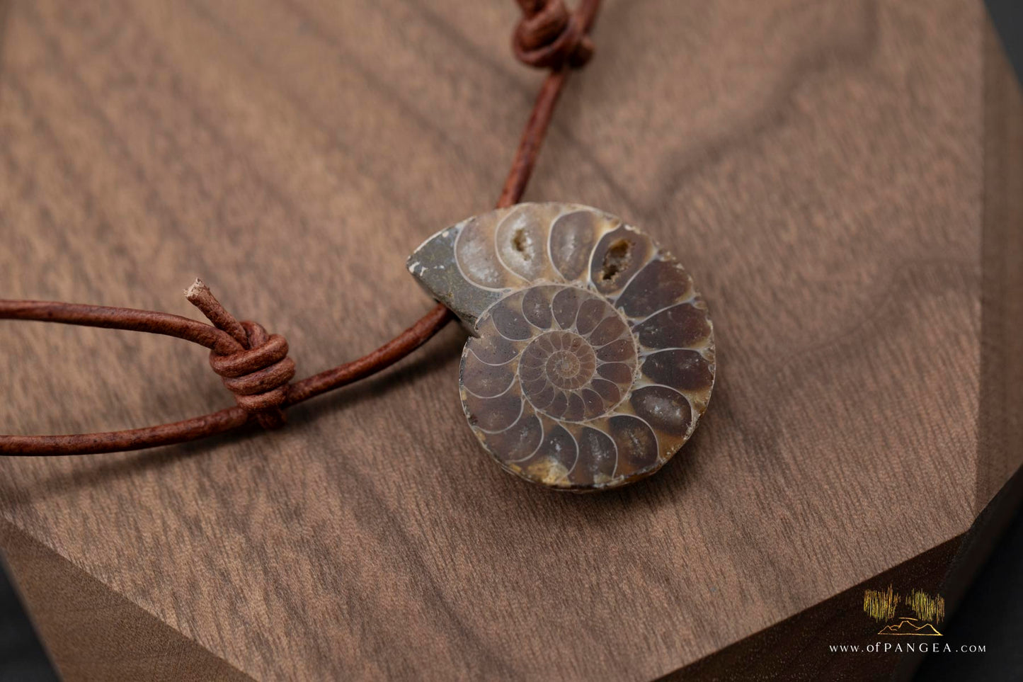 Per-mineralized Ammonite Cross-section Necklace - Italian leather cord || JF573