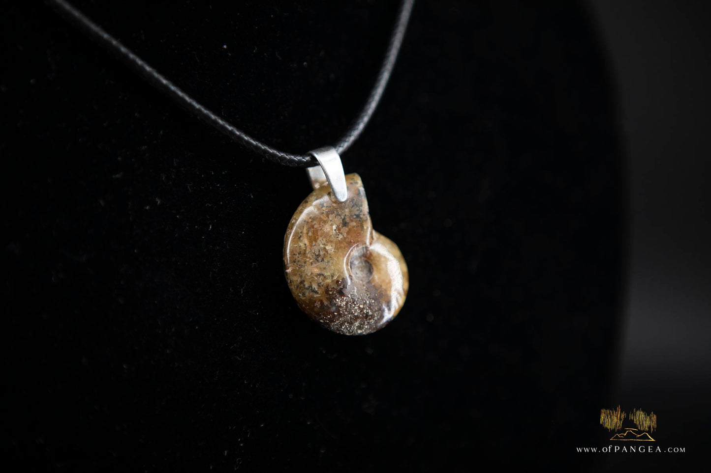 Fossilized Golden Agate Per-mineralized Full Ammonite Necklace - Italian Leather sterling silver necklace || JF574