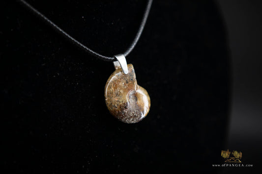 Fossilized Golden Agate Per-mineralized Full Ammonite Necklace - Italian Leather sterling silver necklace || JF574