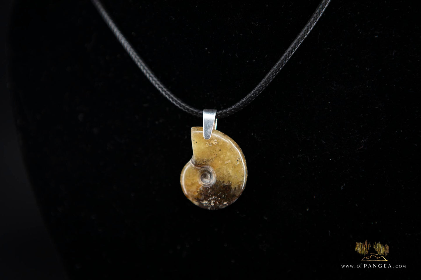 Fossilized Golden Agate Per-mineralized Full Ammonite Necklace - Italian Leather sterling silver necklace || JF574