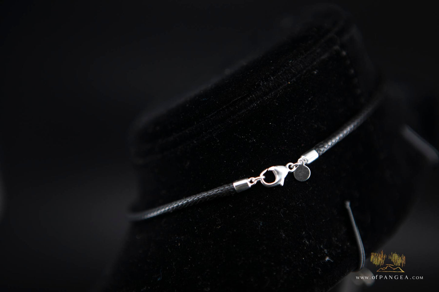 Fossilized Golden Agate Per-mineralized Full Ammonite Necklace - Italian Leather sterling silver necklace || JF574