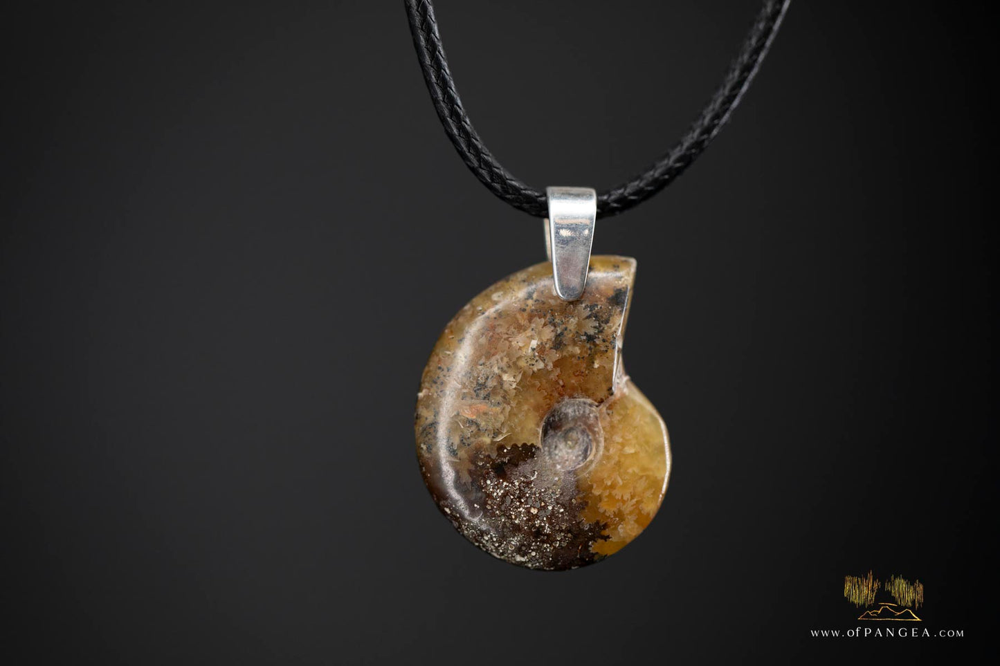 Fossilized Golden Agate Per-mineralized Full Ammonite Necklace - Italian Leather sterling silver necklace || JF574