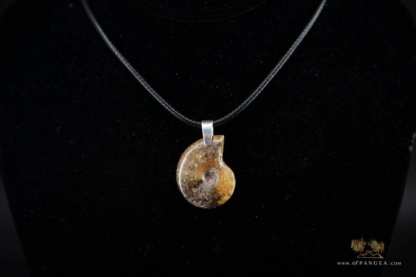 Fossilized Golden Agate Per-mineralized Full Ammonite Necklace - Italian Leather sterling silver necklace || JF574