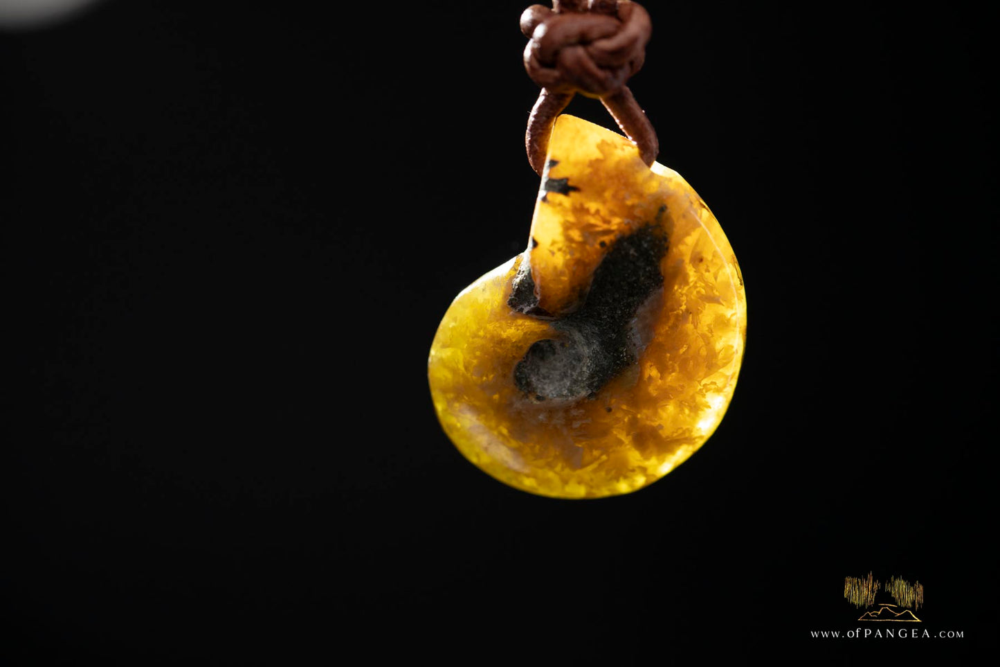 Fossilized Golden Agate Per-mineralized Full Ammonite Necklace - Leather Cord || JF575