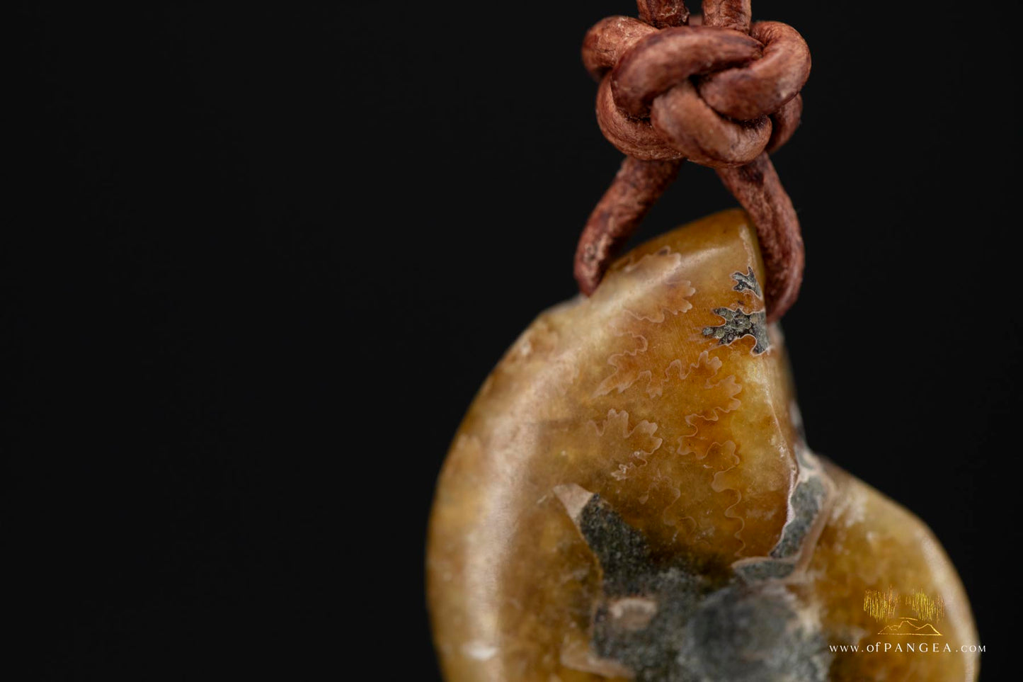 Fossilized Golden Agate Per-mineralized Full Ammonite Necklace - Leather Cord || JF575