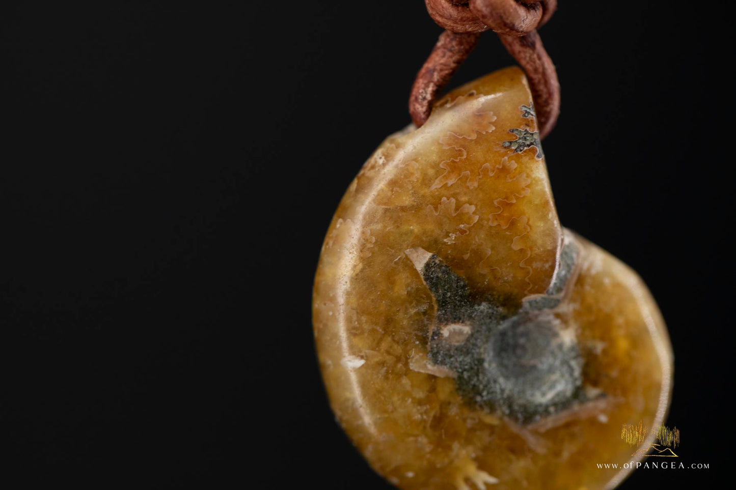 Fossilized Golden Agate Per-mineralized Full Ammonite Necklace - Leather Cord || JF575