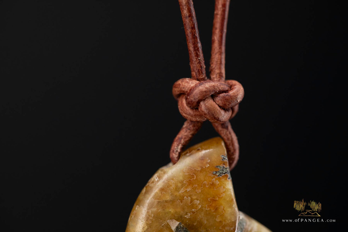 Fossilized Golden Agate Per-mineralized Full Ammonite Necklace - Leather Cord || JF575