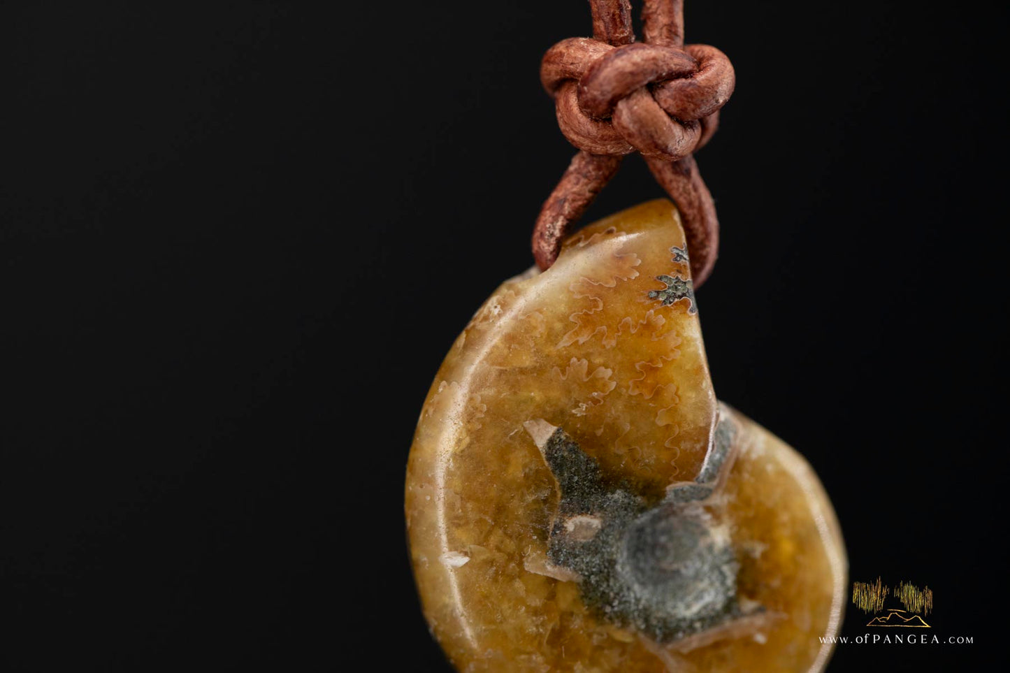 Fossilized Golden Agate Per-mineralized Full Ammonite Necklace - Leather Cord || JF575