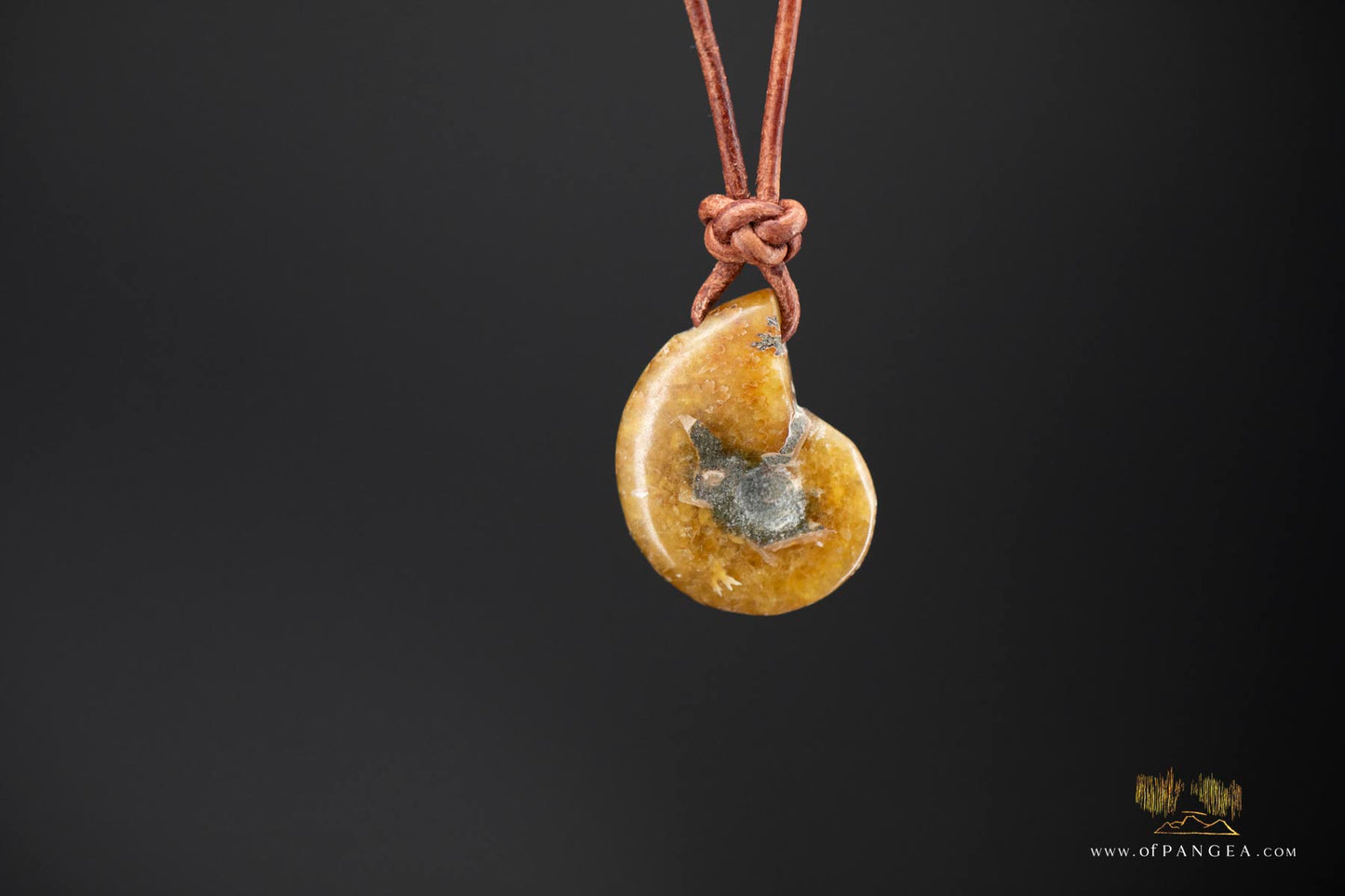 Fossilized Golden Agate Per-mineralized Full Ammonite Necklace - Leather Cord || JF575