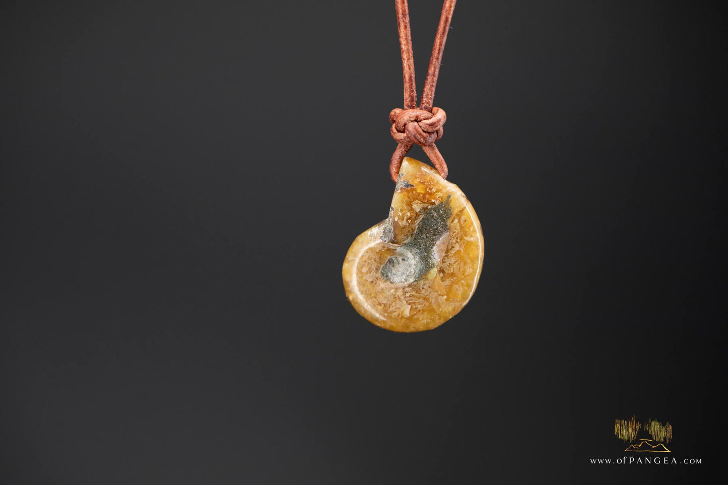 Fossilized Golden Agate Per-mineralized Full Ammonite Necklace - Leather Cord || JF575