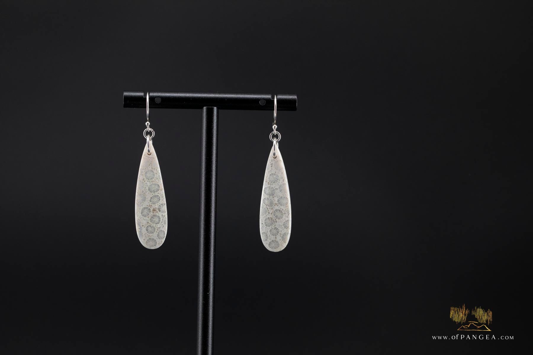 Agatized Fossil Coral Teardrop Earrings - Sterling Silver