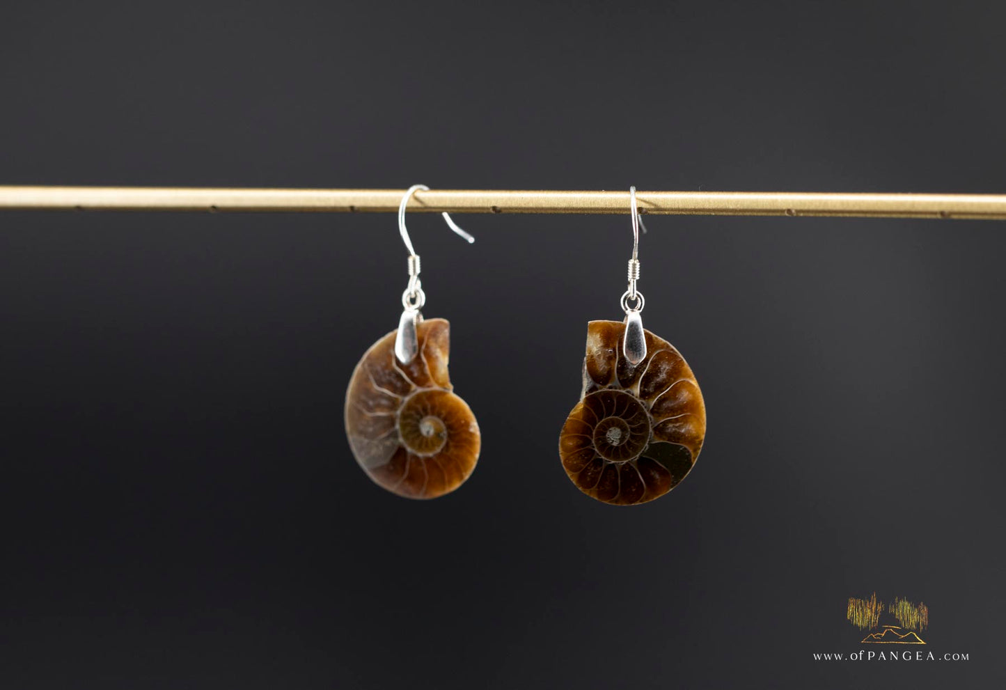 Per-mineralized Ammonite Half Earrings - sterling silver